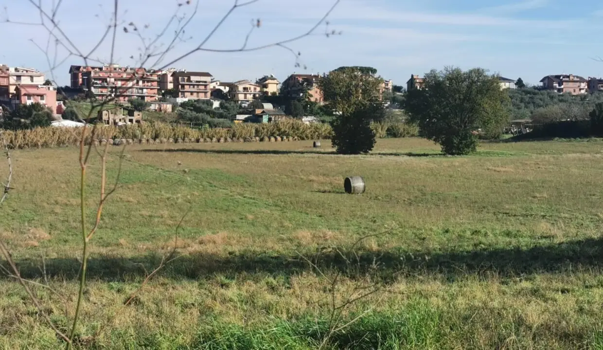 WhatsApp Image 2022-12-19 at 10.26.57