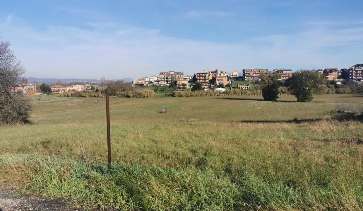 WhatsApp Image 2022-12-19 at 10.26.58