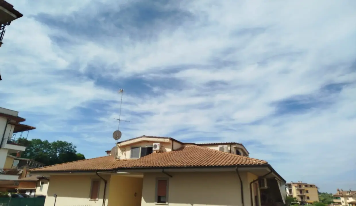 14. Esterno