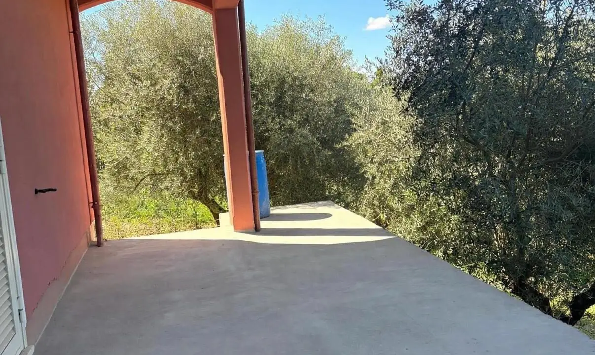 1.1 portico