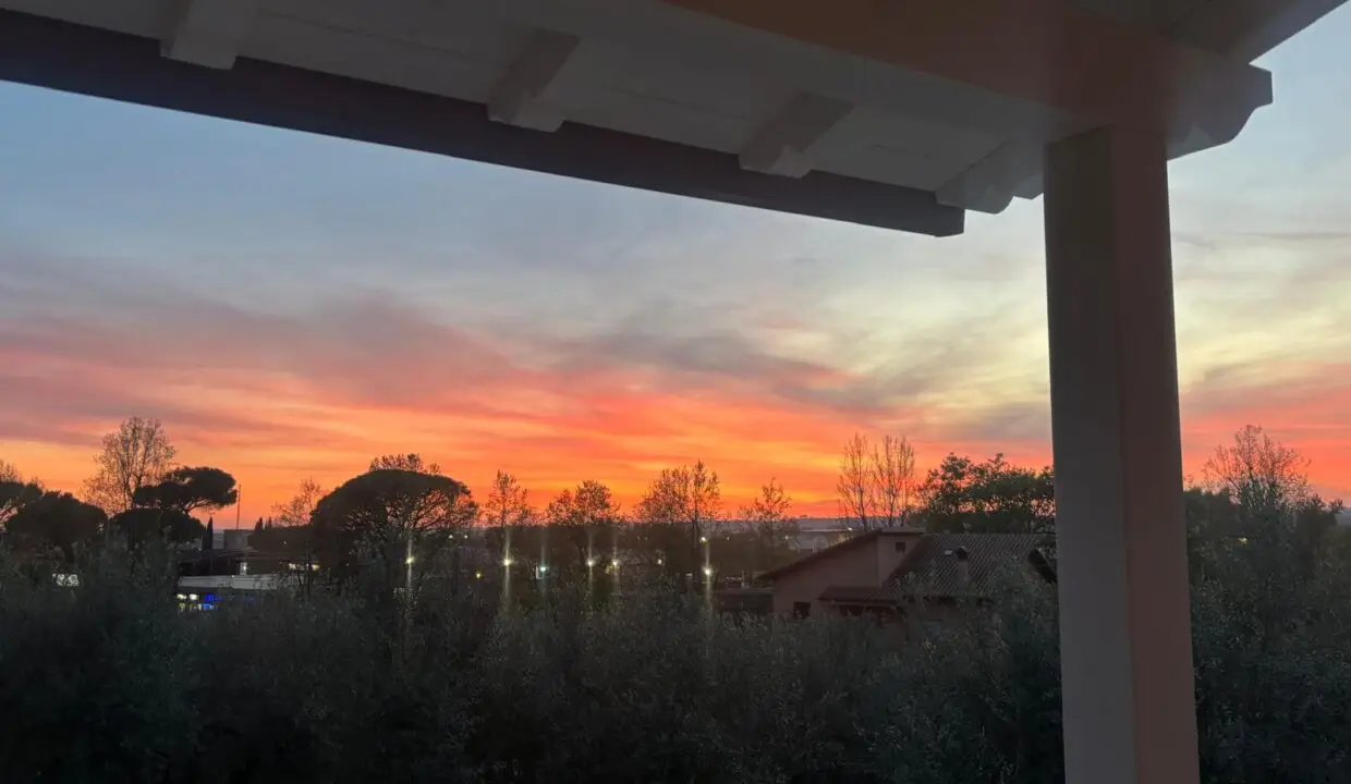 Vista