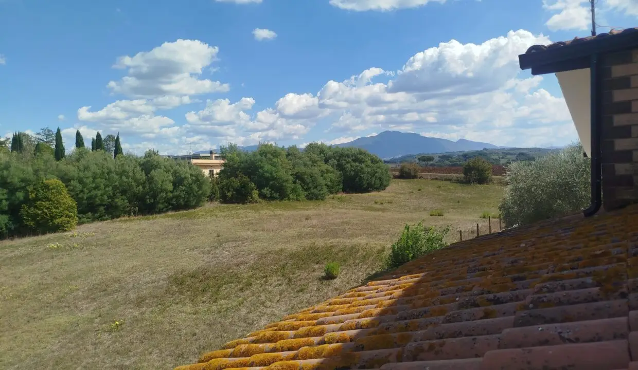 Terreno 1